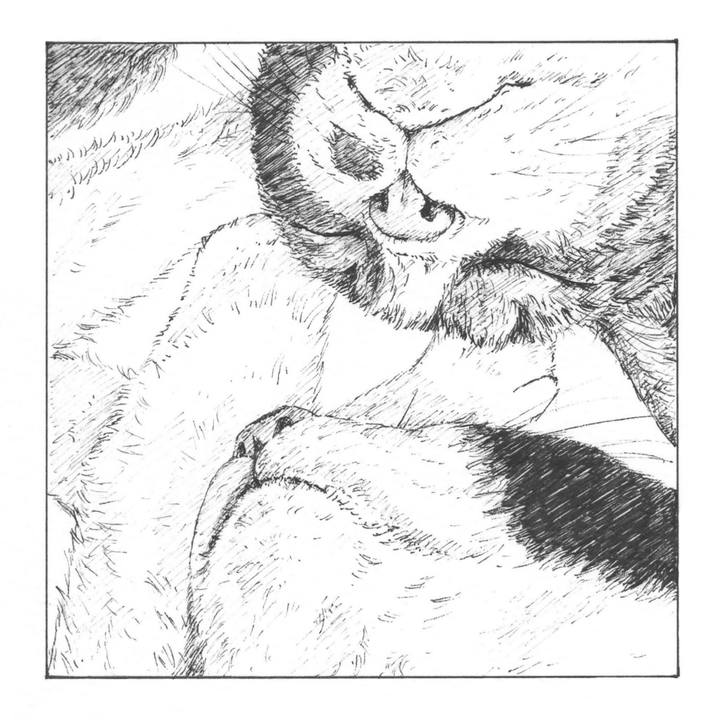 A74ab9b2 96f1 438b 8eff 03df9d172fff 1578494663530