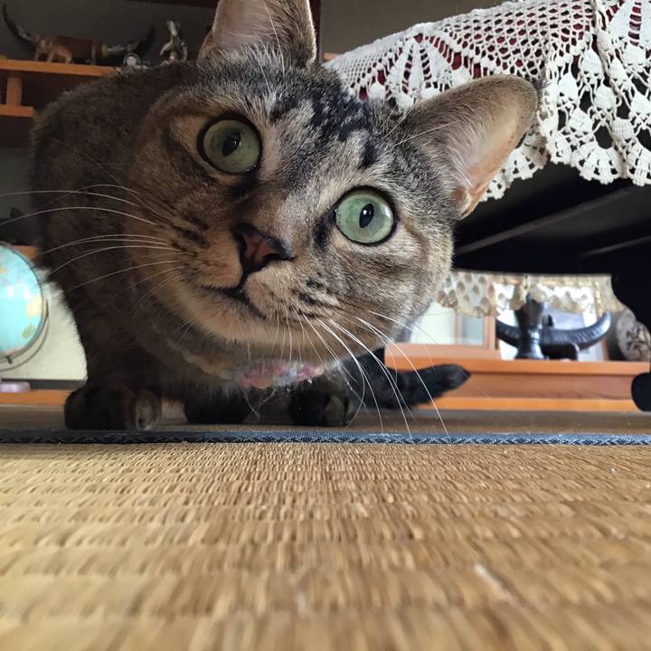 A74ad324 bd1f 441a 99e7 2817d5775cc9 1616400819226