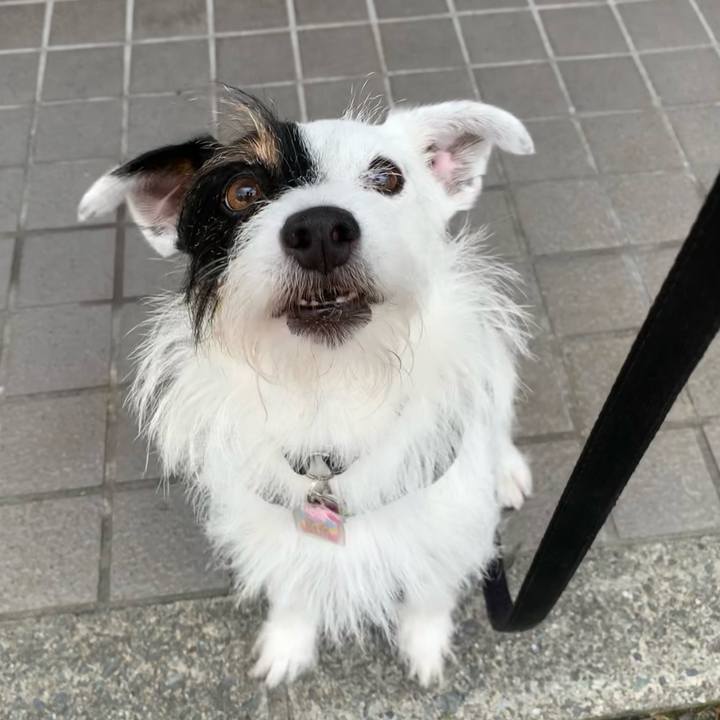 A74ad6d5 7c37 4751 9f4b a6304b98c774 1657494728532