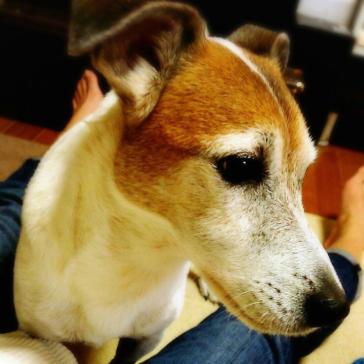 A74aff6e 9c71 43dc a7ac ab9fa69a27e1 1508052630819