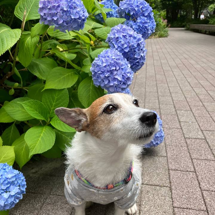 A74b1307 6931 4361 9efc 2558ebab2fc3 1685402893067