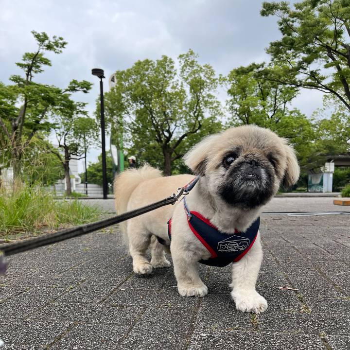 A74b217d db7f 4e43 8348 1e1ddc8a4a63 1751415848773