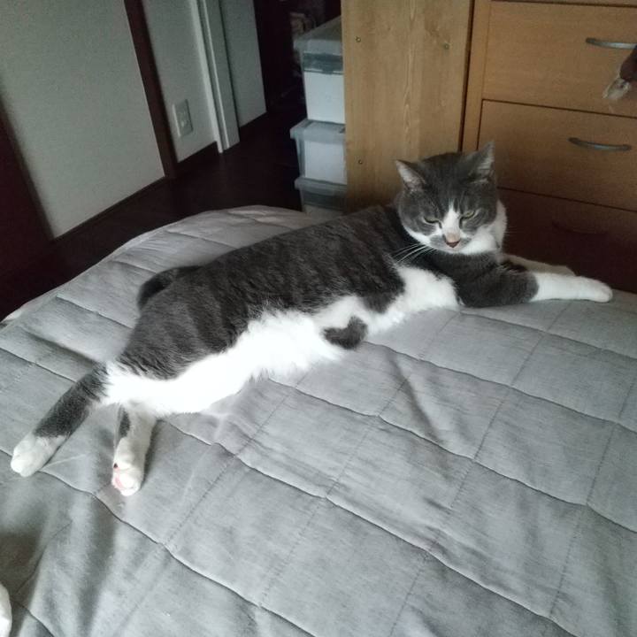 A74b558b 0798 4eee a67a 62ac664f1a25 1631397406927