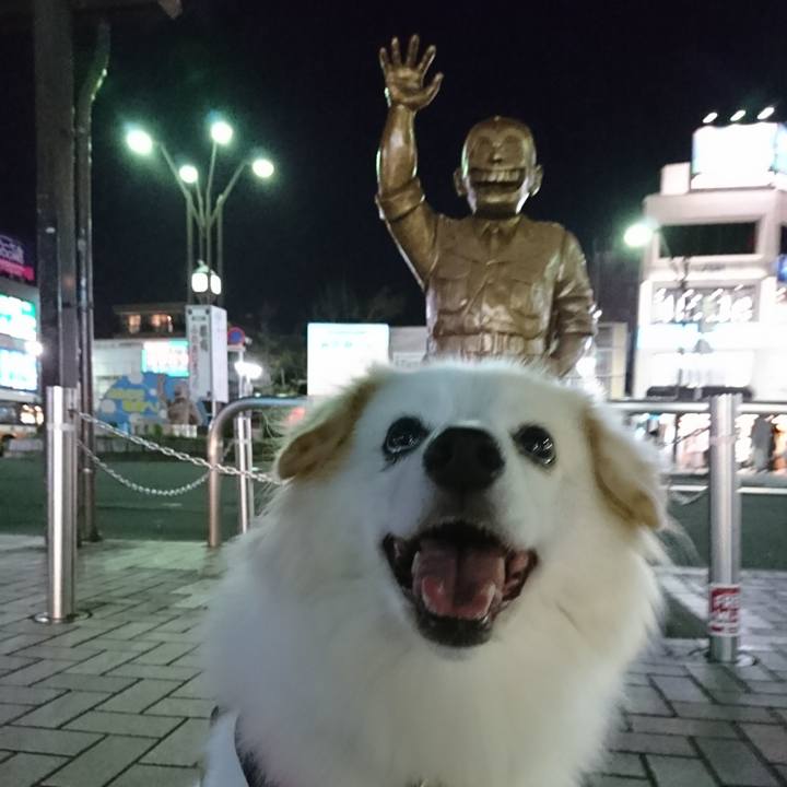 A74b7e0e 7f14 461b ae6c 4ba269a86e2e 1538989531428