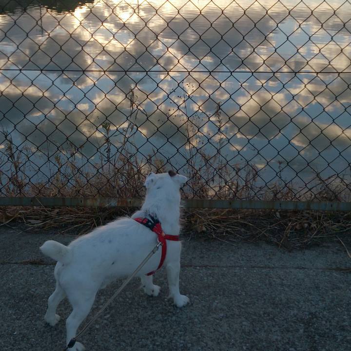 A74ba1b2 2cdf 44fc a0c0 69ab01da239e 1513725653617