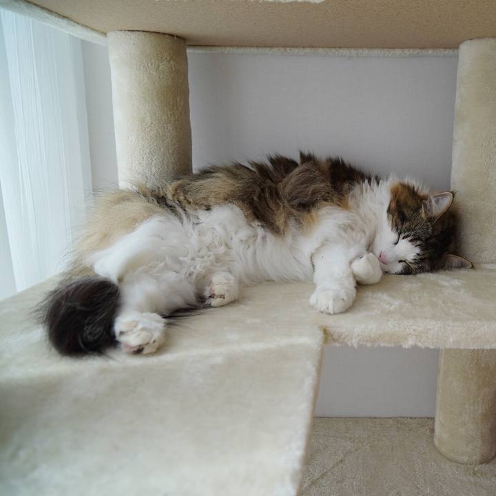 A74bb875 3db4 45c3 a2f3 c635924b4c64 1655620084964