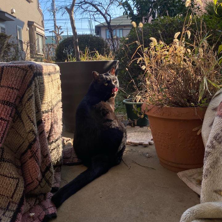 A74bfda8 47c8 47bd 8310 a894176bee52 1673159293618