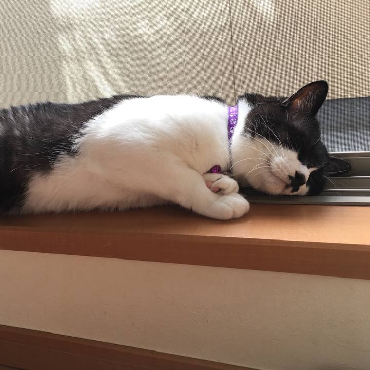 A74c116d 0b1c 4b08 82da f87c75c6e5aa 1568683408612