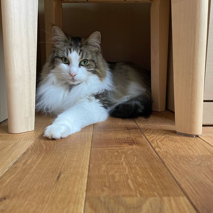 A74c160b fc1e 4fdc 9df8 d3804bd2a353 1654228291605