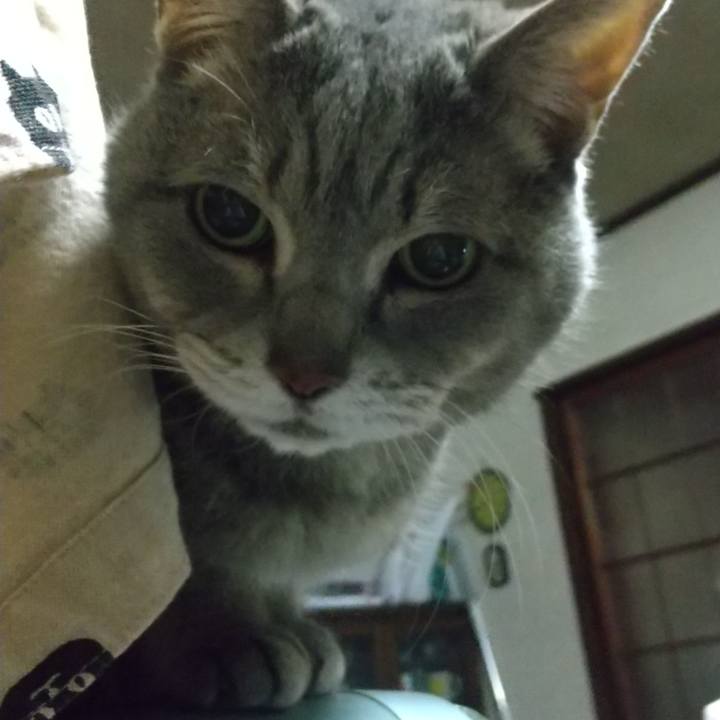 A74c4f48 777c 4487 a3c2 6fc22f8cc8ef 1677106159147