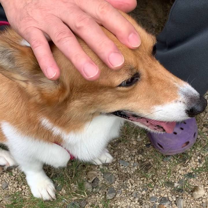 A74c81e1 aae9 4636 aecc 156cfd366df4 1663910633914