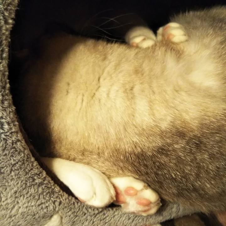 A74c909b 60d1 4a75 a285 a47ce2e724be 1575884273040