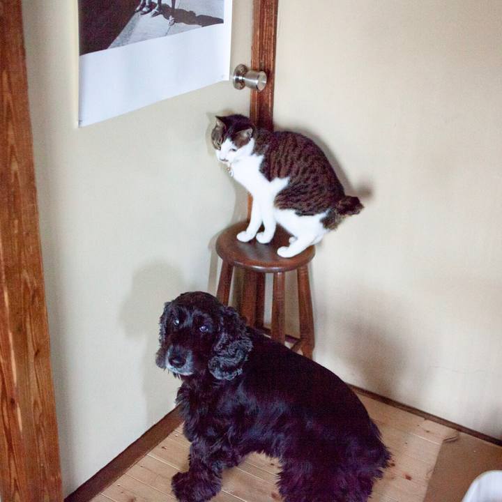 A74c9b37 78c2 4367 af05 3678c0948050 1584149348744