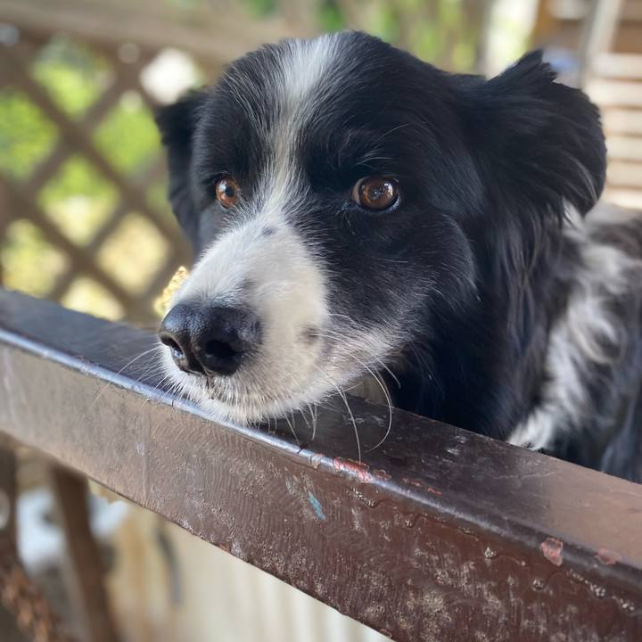 A74d056f 59b0 4797 baf8 8f8692d3944b 1624948875075