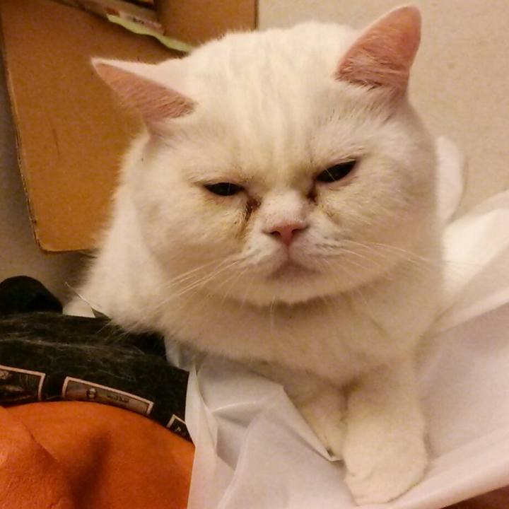 A74d0857 6ec1 48e4 aa57 db1b5d7482b2 1534199346527