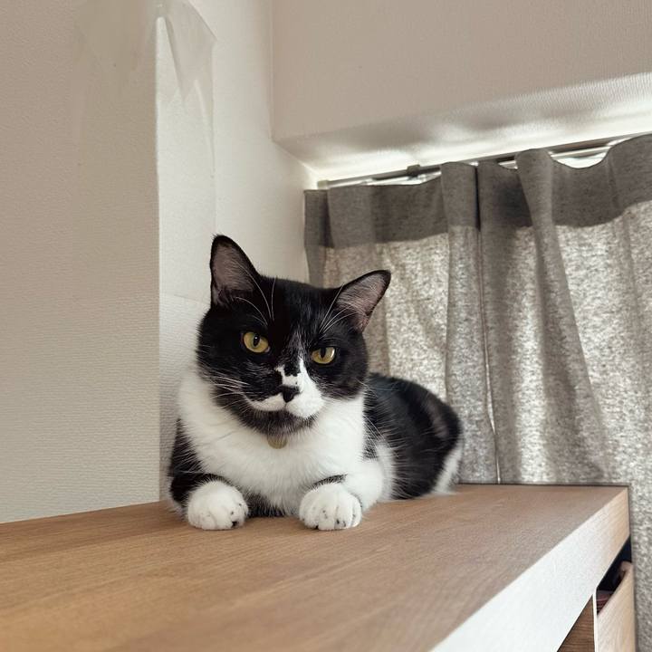 A74d0cd9 375d 40ad aa2c f422b0882b0b 1754450325050