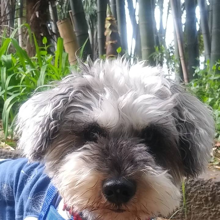 A74d1e71 af31 4abb b767 73370ab774f3 1650102362146