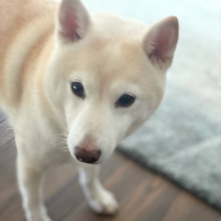 A74d7201 1f96 4d3d 808e 0907ce3f4bca 1633385642163