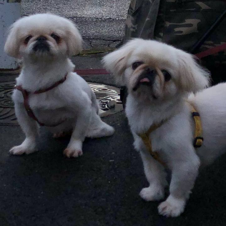 A74d7d46 20a2 4054 95ae 33b83d67d68a 1538258474011