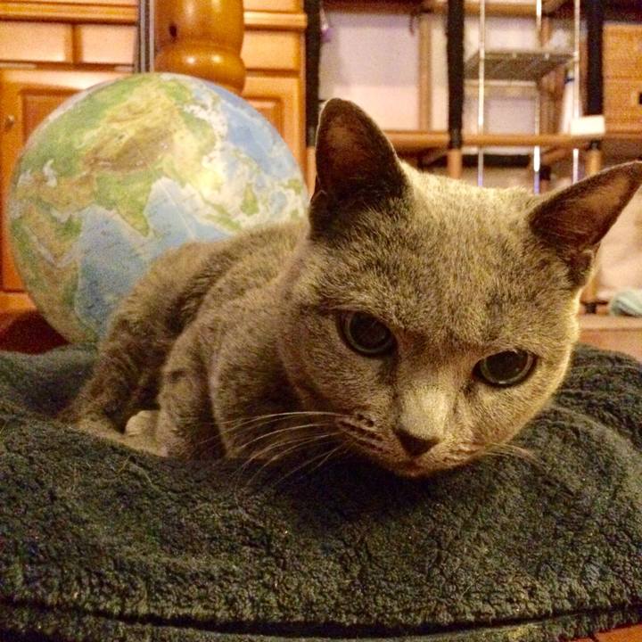 A74db31b 8a7f 4e7c ab92 683a51494620 1512999507105