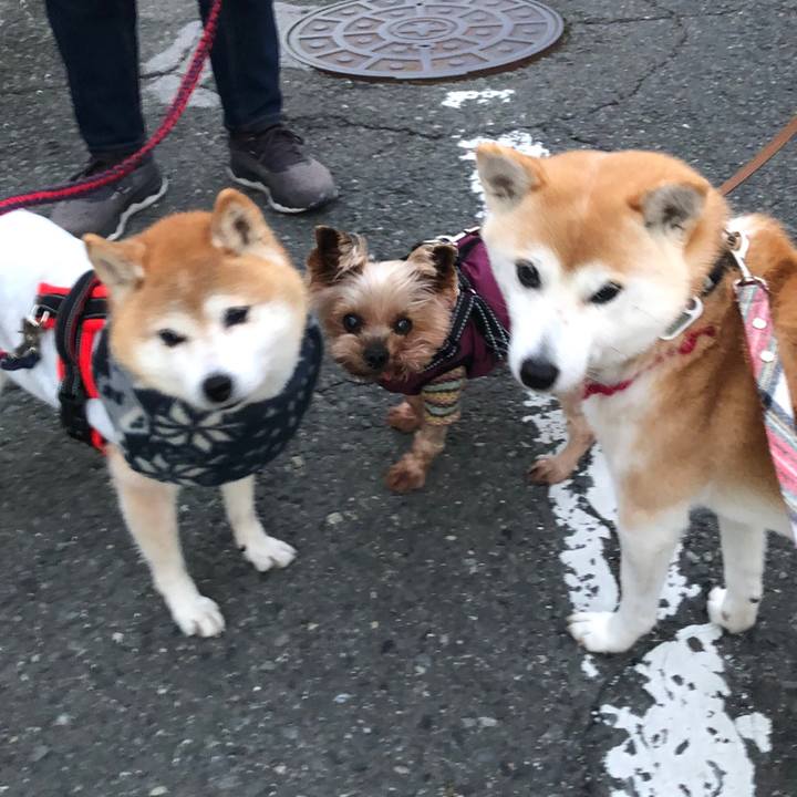 A74db414 7811 43b3 b97a 55aa8e2bb97a 1703553149804