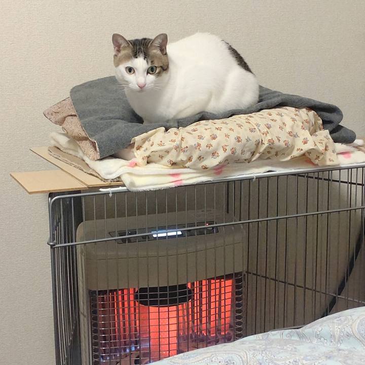 A74dbfa9 b33b 485d 9b9e 8ba0a57f1614 1735717611021