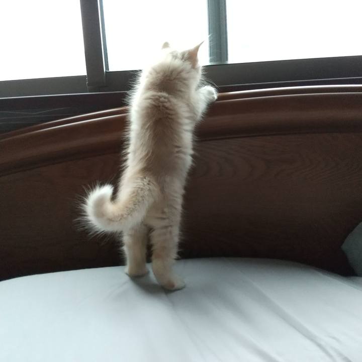 A74df427 b383 49fe 96c1 ae57c084ec4f 1602719586117