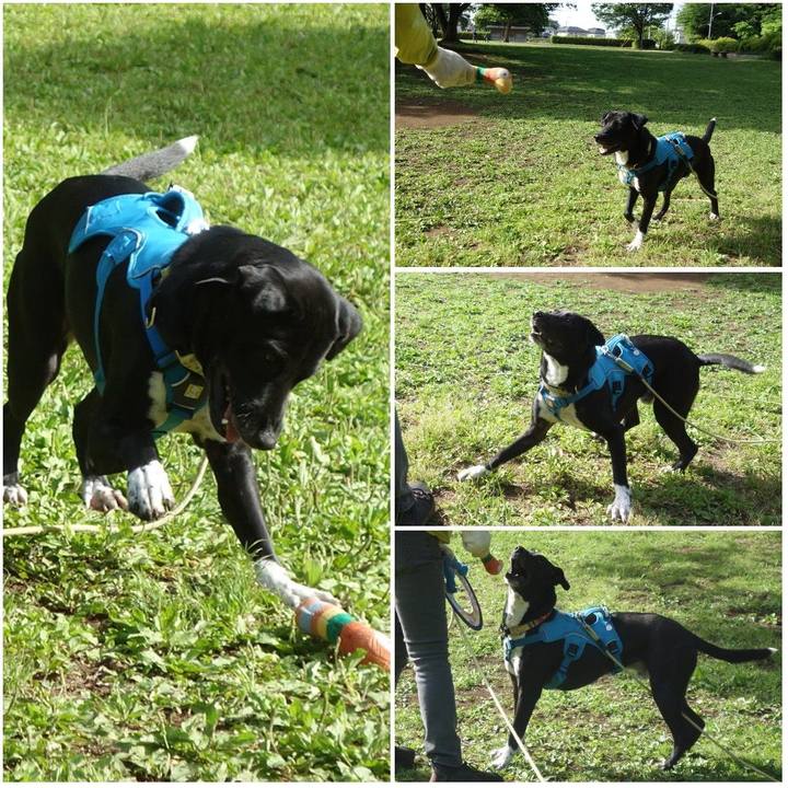 A74e08d8 bc6d 49d0 b135 9a3991310d2e 1620090919748