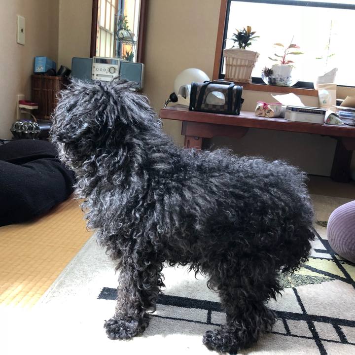 A74e331a bda6 4c9b b5f2 1e03f415392e 1523678071183