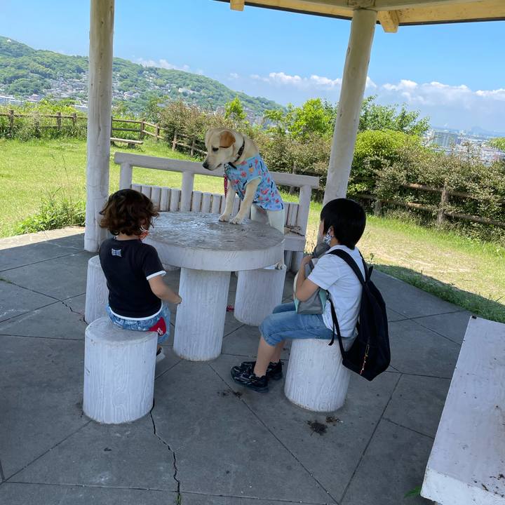 A74e7d66 ada3 46f3 baa4 c373e3f9615f 1621682830916