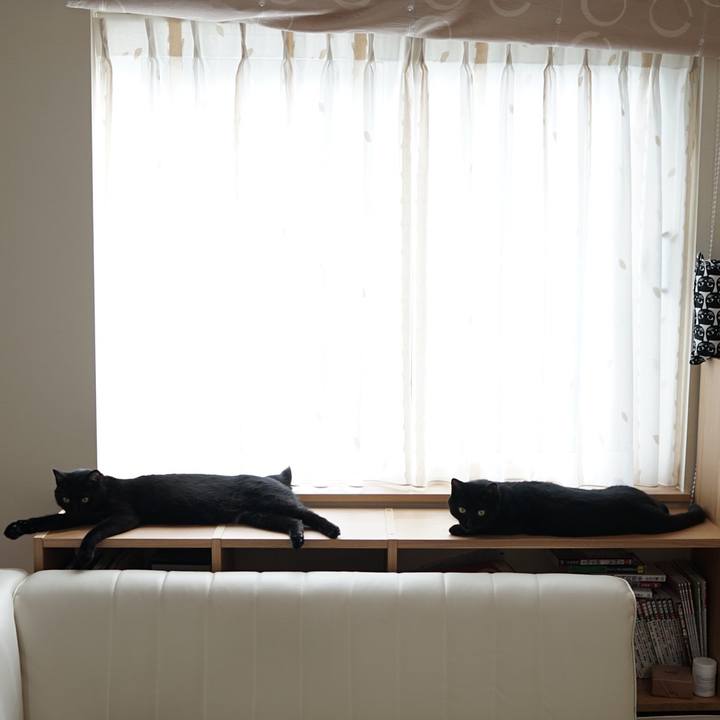 A74e8399 c330 4bf6 95e0 2d4d2881dd05 1561592099427