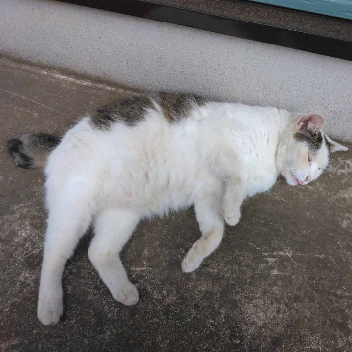 A74e864e 1159 480e ad83 b09eafc0c6b7 1691410719807