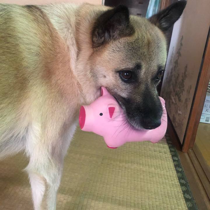 A74e8a99 26f5 47f9 a9e2 23d153e7e26c 1630414744188