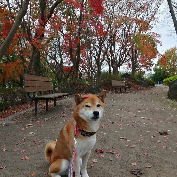 A74eb815 1a66 48c0 a38d 5c41d03f9244 1670030005074