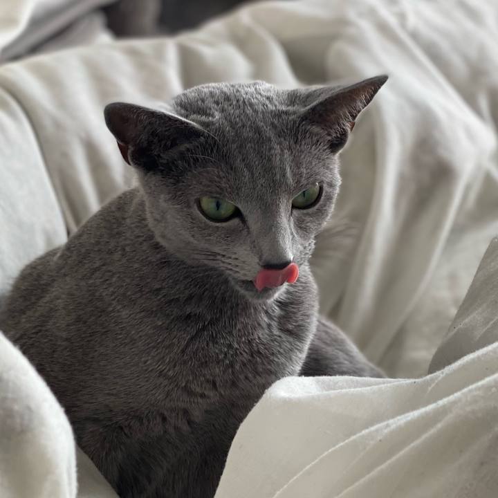 A74ed54f 5d9c 41d6 b085 7a4e2940006a 1614917866834