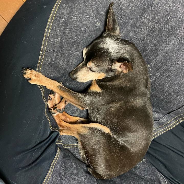 A74ed8c0 6f97 4aa1 85dc 91453b9c885c 1594823142309