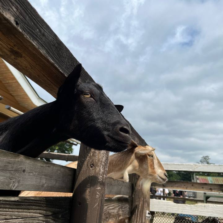 A74ee198 e4e5 4298 abce e195871ae51a 1726607170282