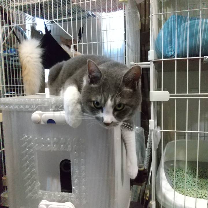 A74ee1d1 9731 4c92 8649 c41728100f53 1719653889189