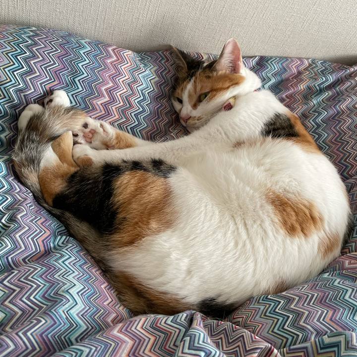 A74ee1ef 22e7 43dd 8064 90787ee1b599 1632544745011