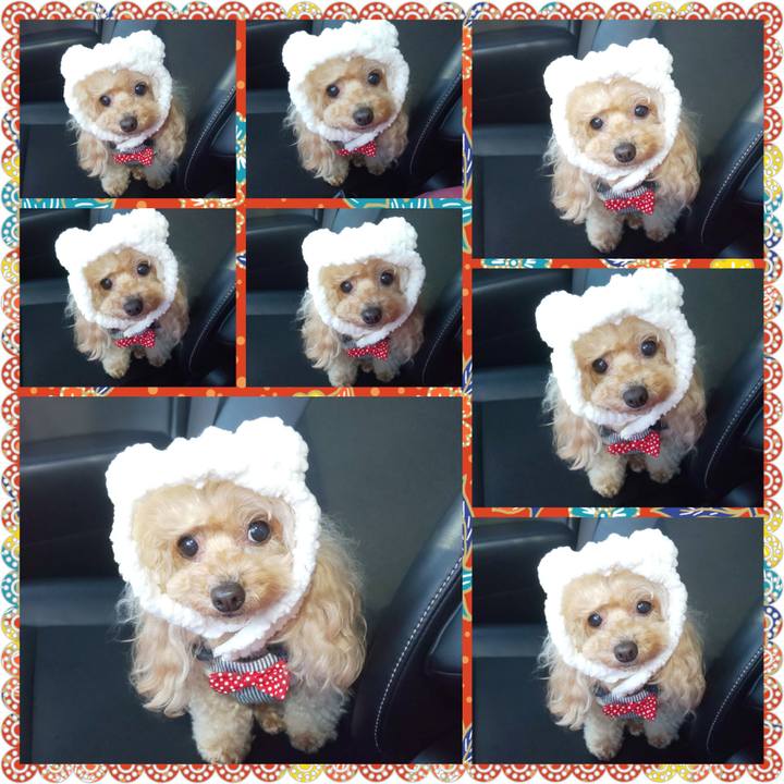 A74f15a4 057f 40fc 8bf8 fdcc3ad06081 1640955781714