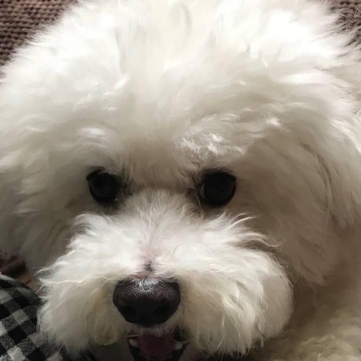 A74f2118 b7d3 4bbc a675 f40700e694ea 1527666846676