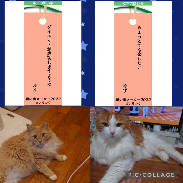 A74f242d 6c4d 474d bd00 683facbe8c75 1657117178594