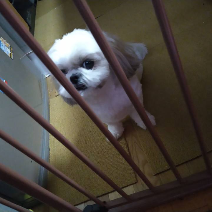 A74f626f d883 49a4 b0b8 ec2c8e749f60 1652137388187