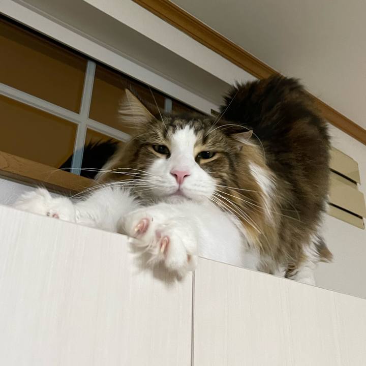 A74f85bb f6c3 46e8 9ec8 a169720506a2 1669837698801