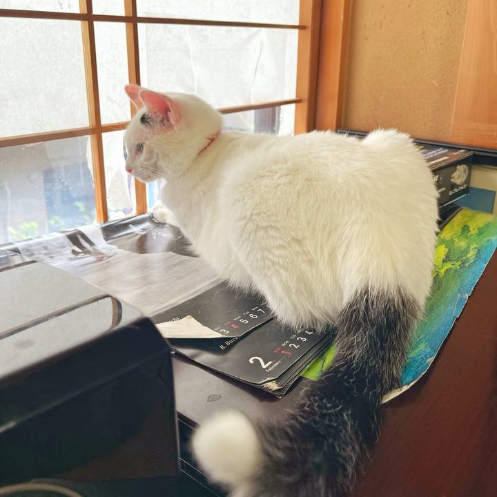 A750542f 2069 44a7 b6c8 d68ac0e77ae1 1756162125206