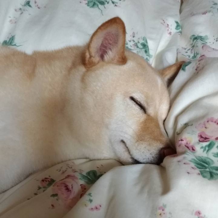 A7506b39 1c82 414f aef6 c63aecd2f811 1553168794269