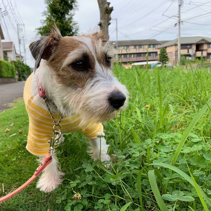 A750aa4a a6f6 450e b072 d0962dbd7239 1596103453484