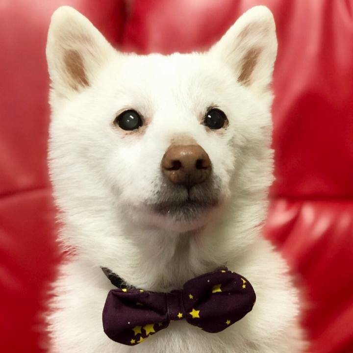 A750b8a1 e711 4ce5 95ee e757bab26b2b 1707358082894