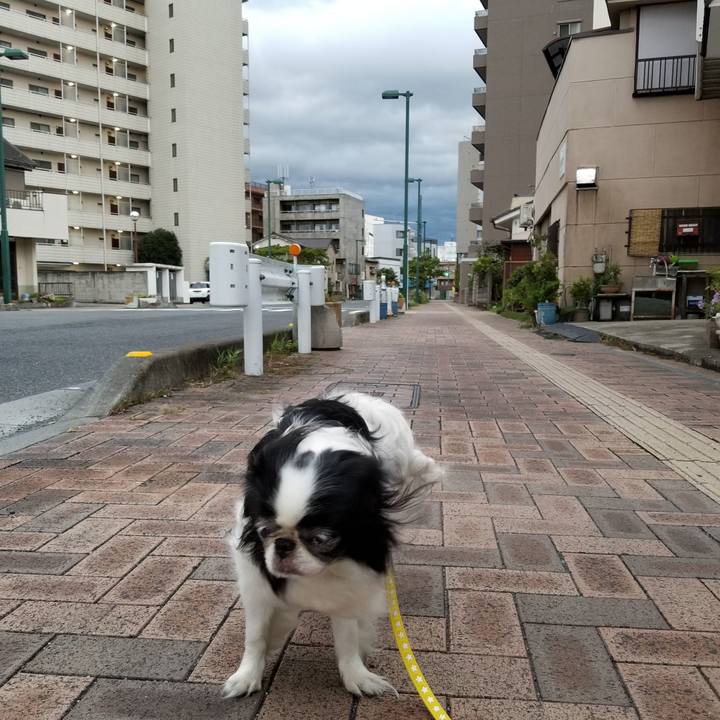 A750ed3e 0422 44fc aacb d04c36fa380b 1533766662721