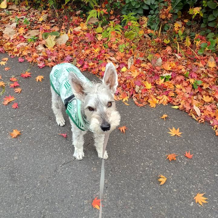 A7511dca fcc3 4d7e a6ae 8fe2095508b1 1764244401949